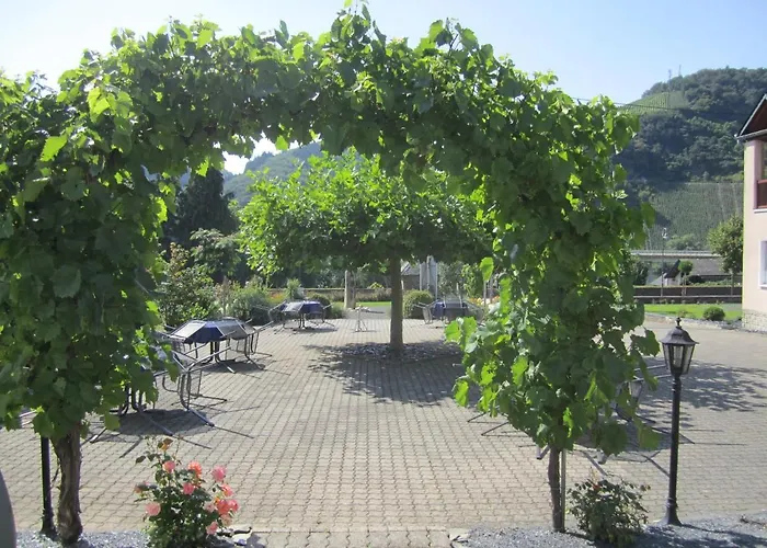 Roemerweinhof 노이마겐드론